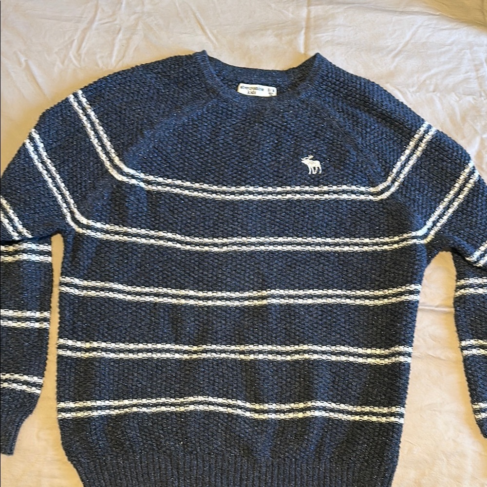 Abercrombie & Fitch Kids Blue Striped Sweater